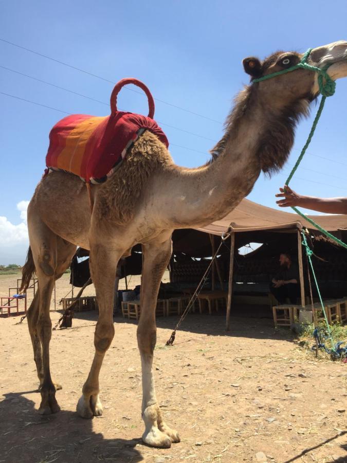 Riad Le Marrakech Berrima 马拉喀什 外观 照片